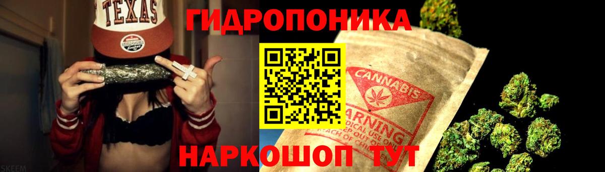 Конопля гибрид  Вход с VPN  Бошки Шишки марихуана  Каннабис Ganja  Минусинск 